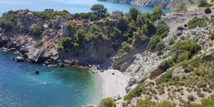 HydraHD: Unlocking the Future of Online Entertainment